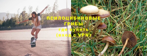 spice Семёнов